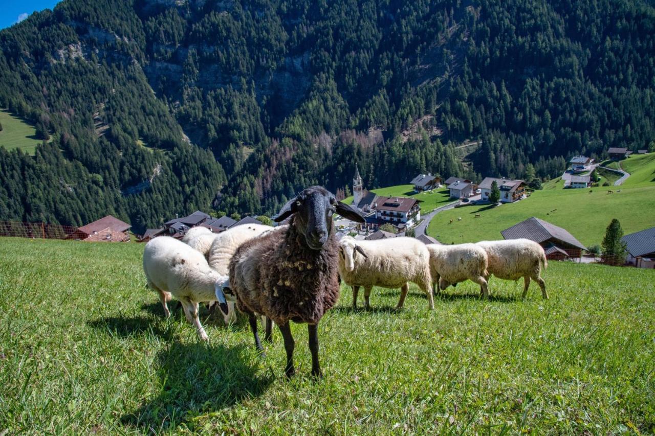 Agriturismo Apartments Tuene Ortisei Eksteriør bilde