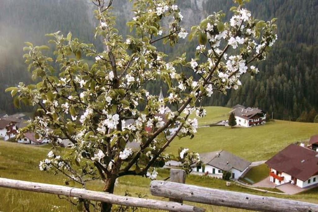 Agriturismo Apartments Tuene Ortisei Eksteriør bilde